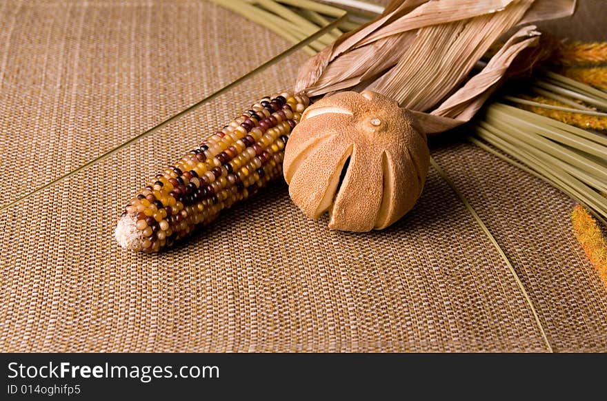 Showing different kind of indian corn.