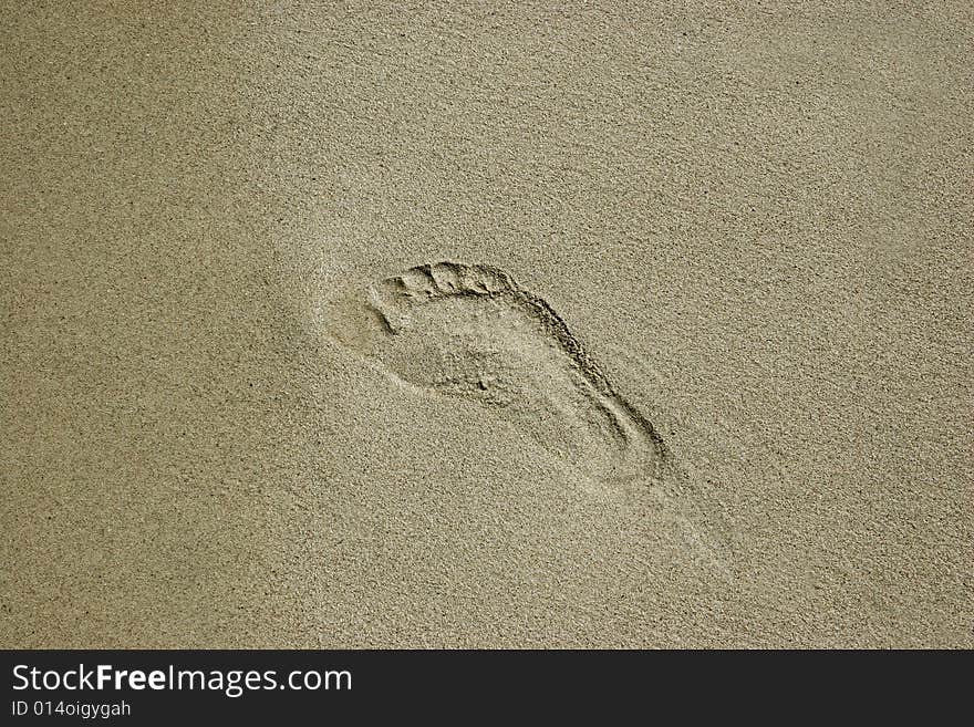 Footprint in the sand