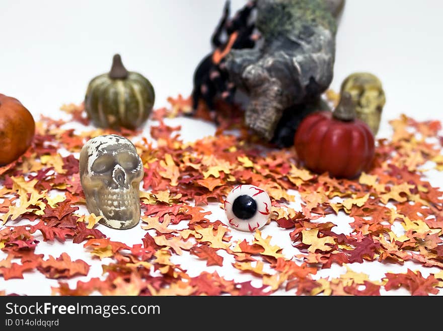 Halloween scene with leaves, skulls, eyeballs, tarantula, and gourds.