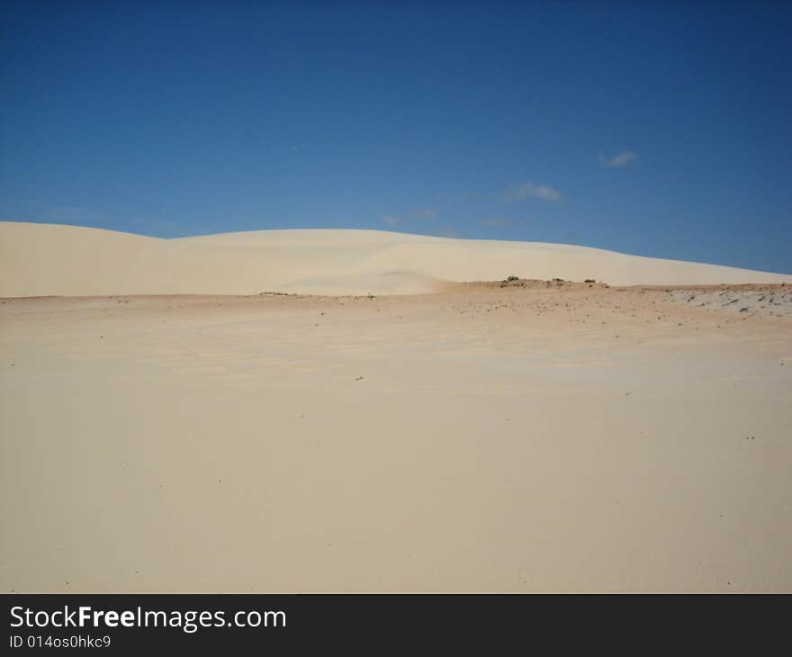 Brasil Desert