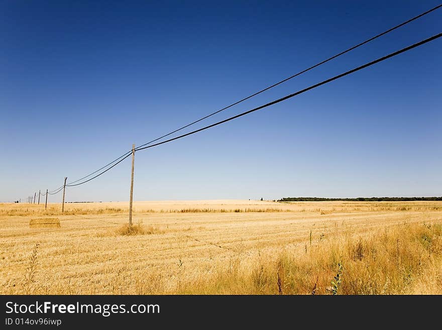 Electric lines over a golden landscape. Electric lines over a golden landscape