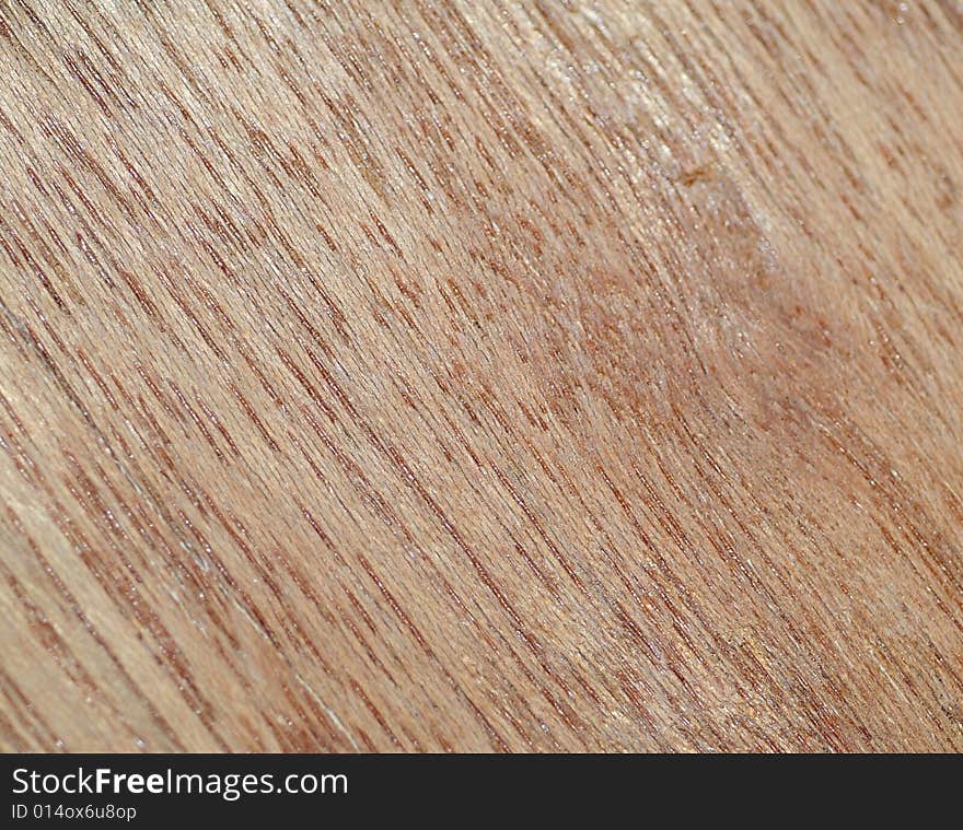 Closeup macro shot of Cherry Wood. Closeup macro shot of Cherry Wood