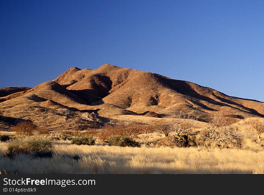 The typical african landscape in namibia. The typical african landscape in namibia