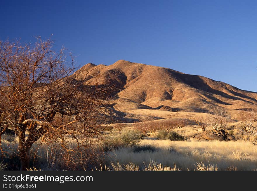 The typical african landscape in namibia. The typical african landscape in namibia