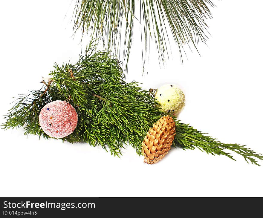 Pine decorated branch