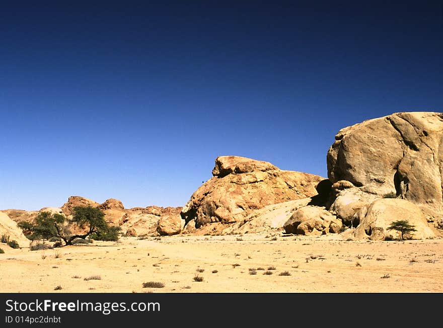 The typical african landscape in namibia. The typical african landscape in namibia