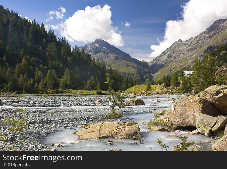 Mountain torrent of rocks and pine forests