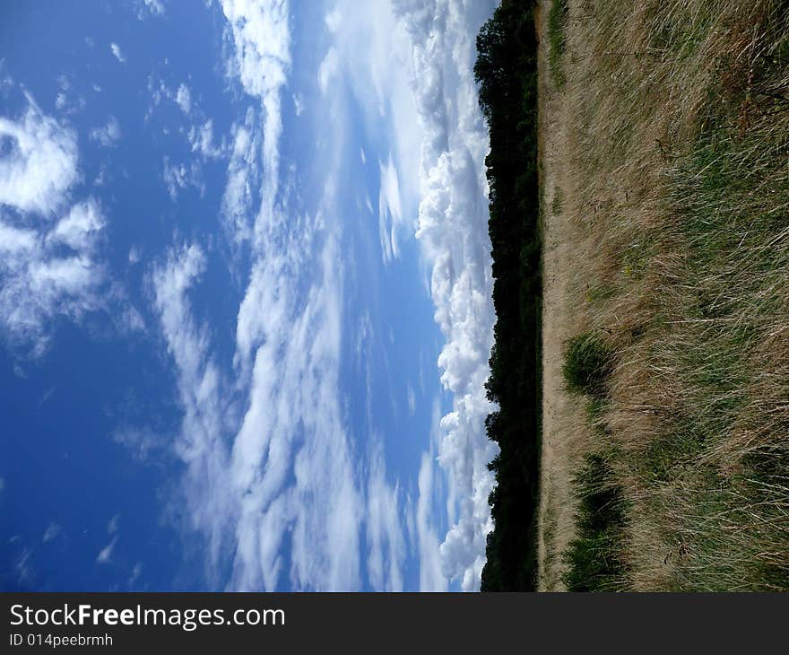 A natural scene taken in Claybury forest. A natural scene taken in Claybury forest.