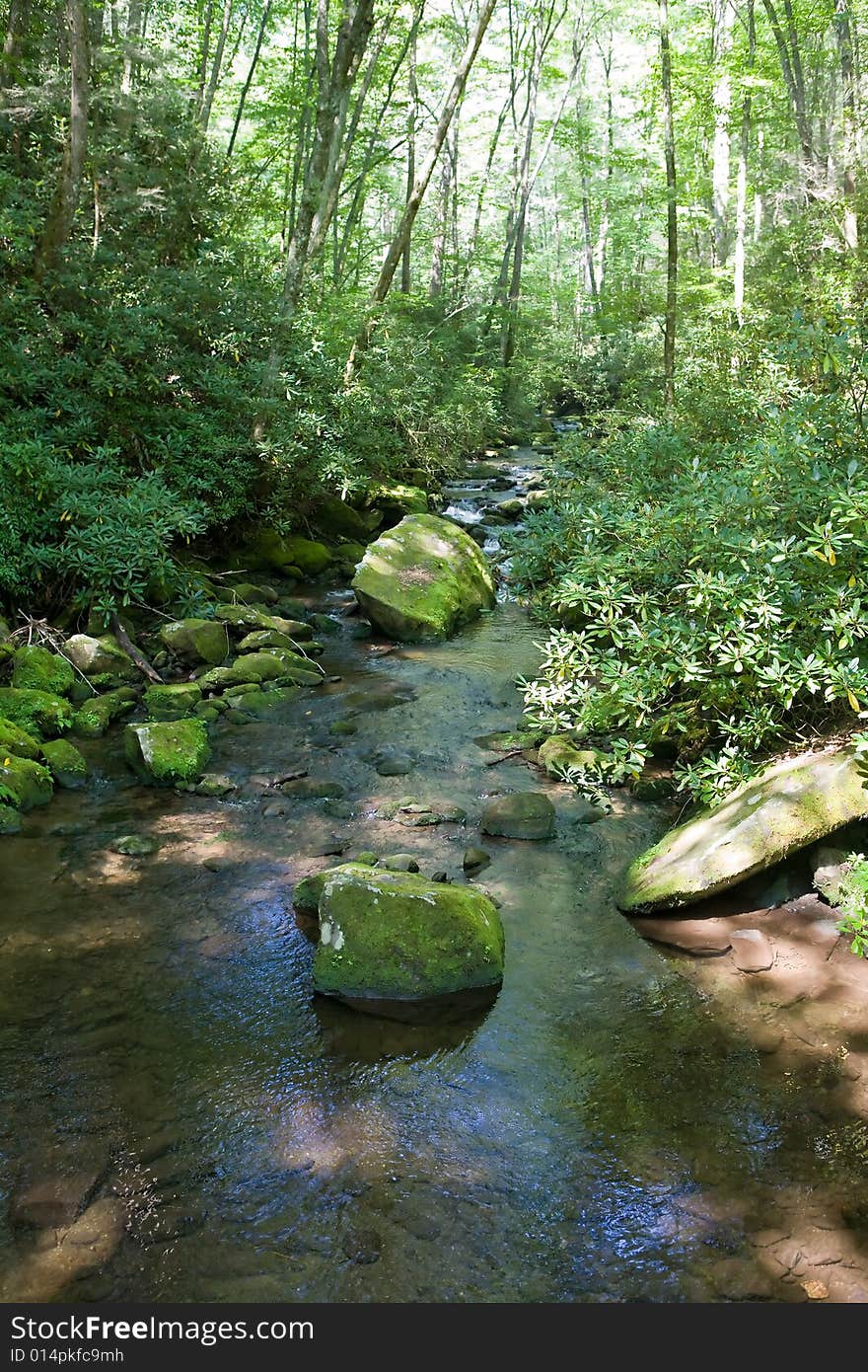 Small mountain stream