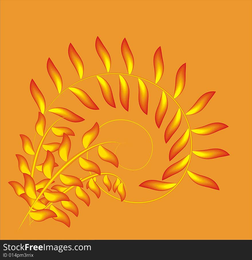 Floral ornament with vector format