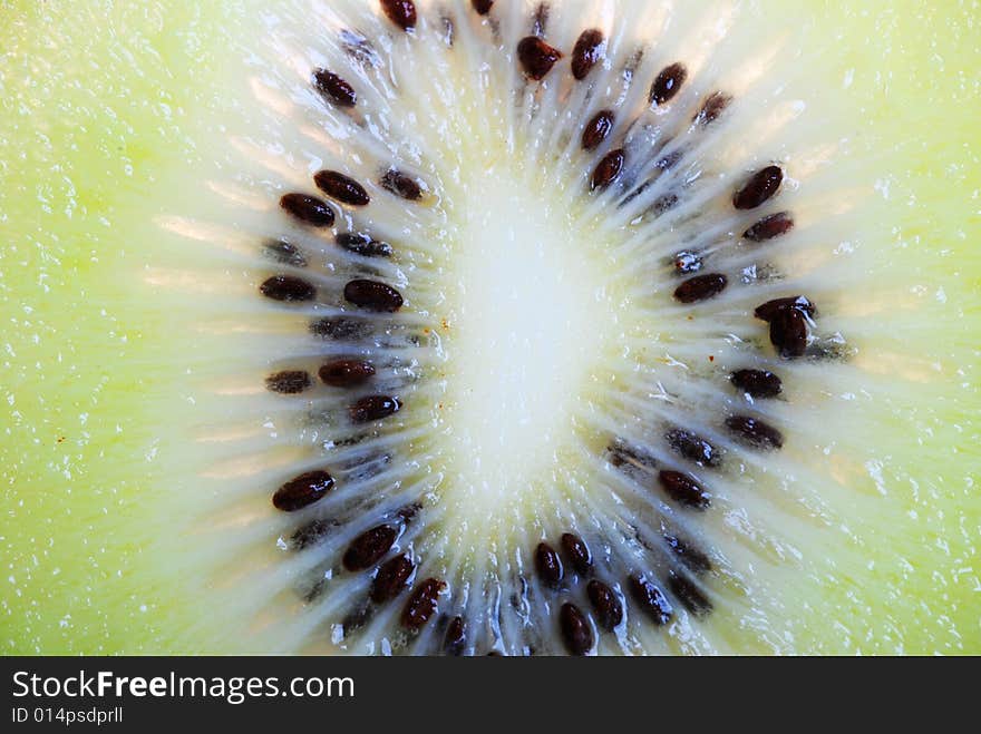 Close up of single kiwifruit slice.