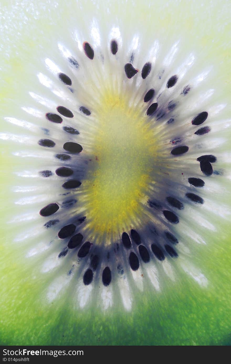 Close up of single kiwifruit slice.