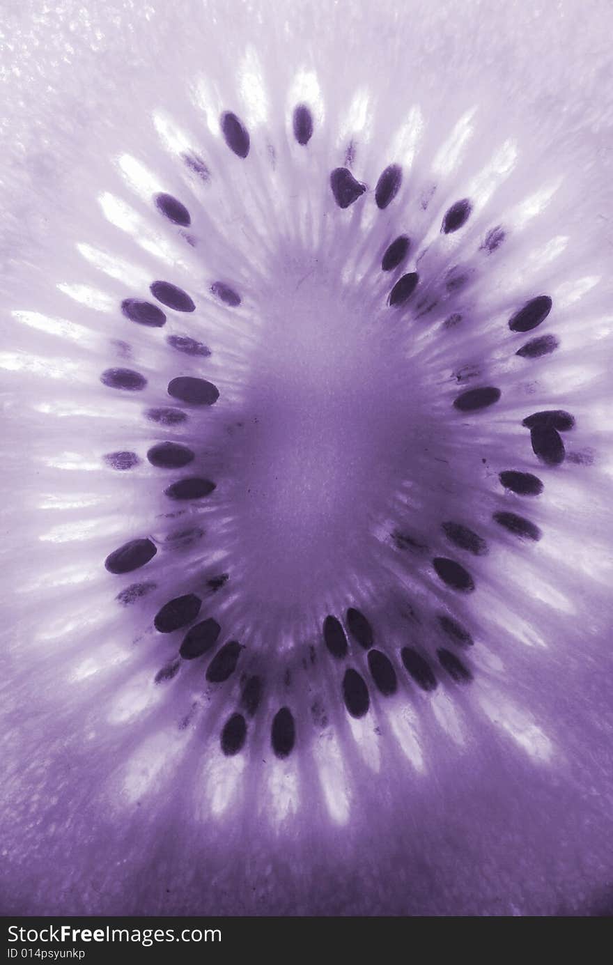 Close up of single kiwifruit slice.