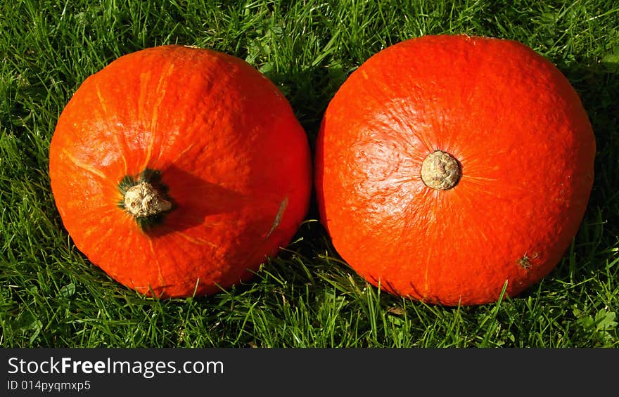 Two Hokkaido Pumpkins lying on Grass