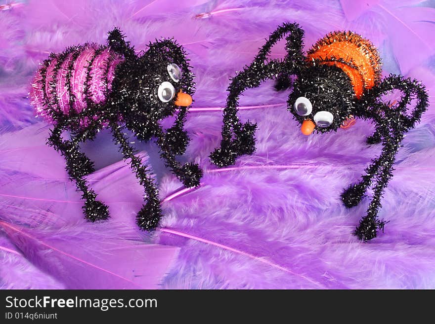 Colorful insects standing on a feathery background. Colorful insects standing on a feathery background