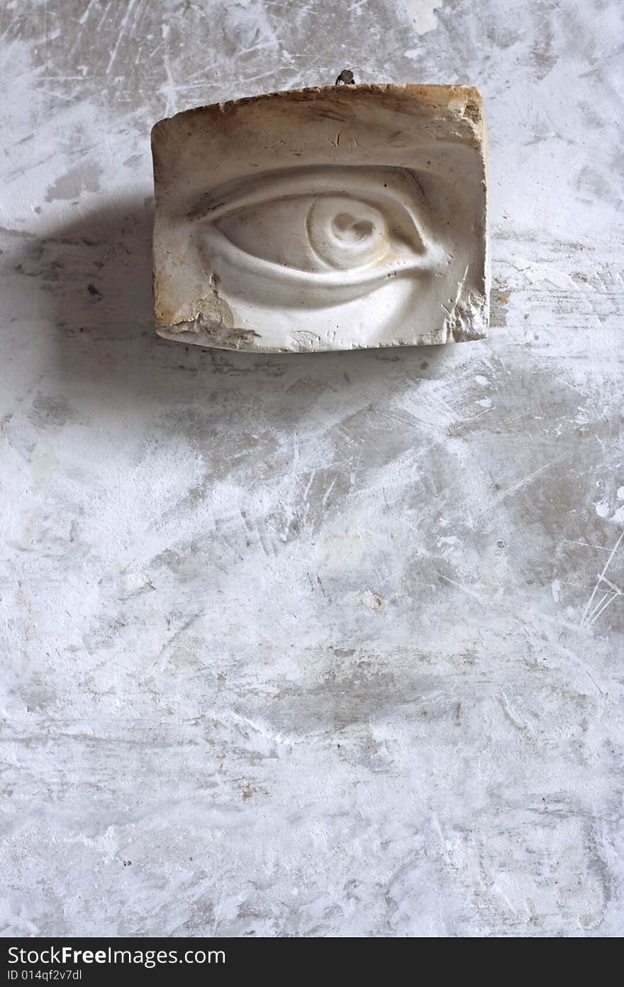 Plaster Model Of An Eye