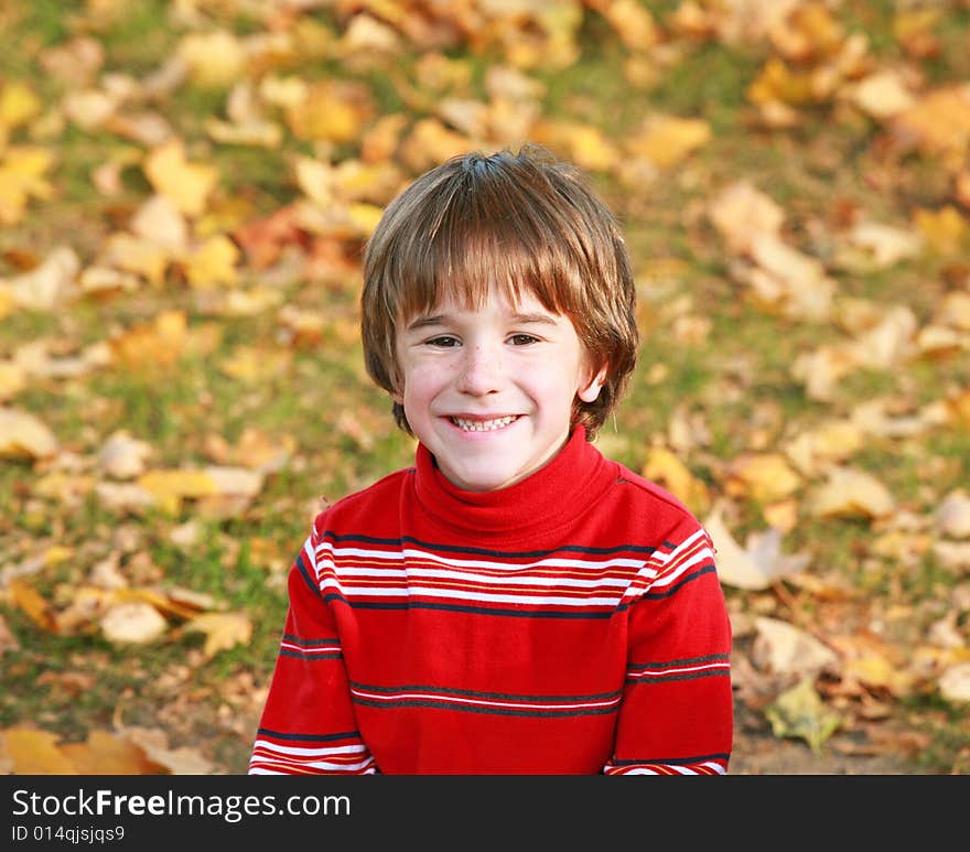 Little Boy Smiling in the Fall Leaves. Little Boy Smiling in the Fall Leaves