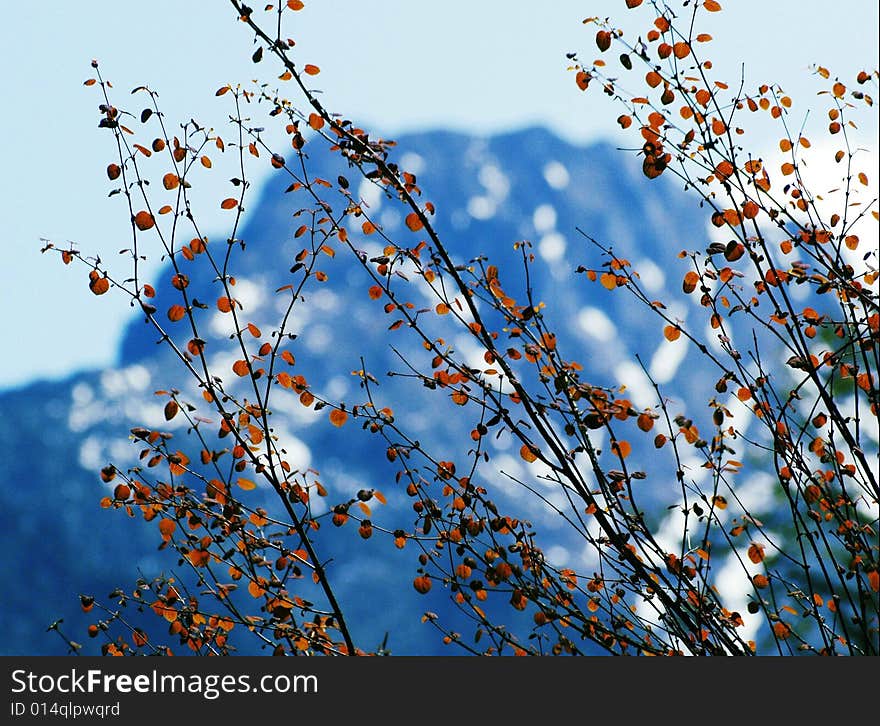 View of the snow mountainous