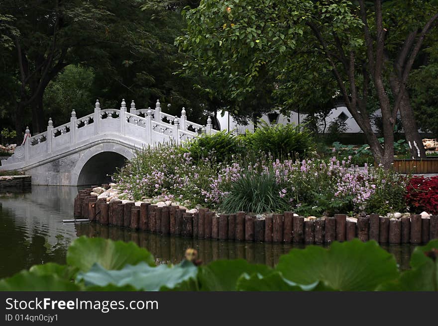 A scenic park in the summer