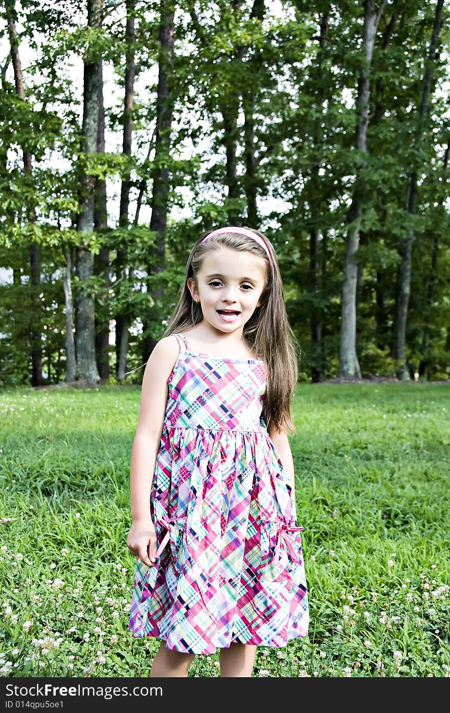 Beautiful little smiling girl posing in a plaid dress standing on green grass with a backdrop of trees. Beautiful little smiling girl posing in a plaid dress standing on green grass with a backdrop of trees.