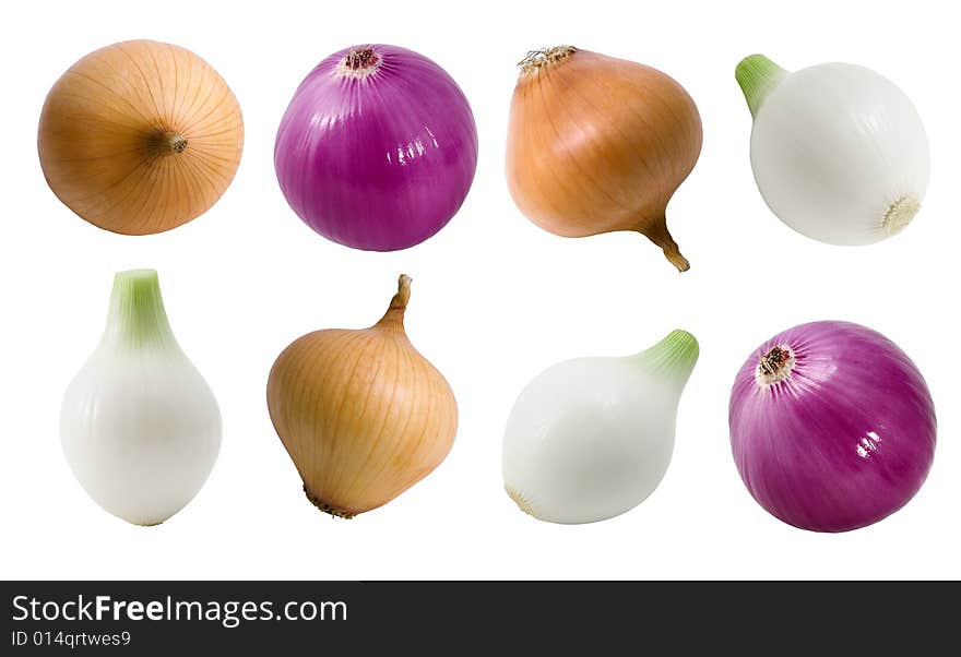 Onion multicolored (isolated).