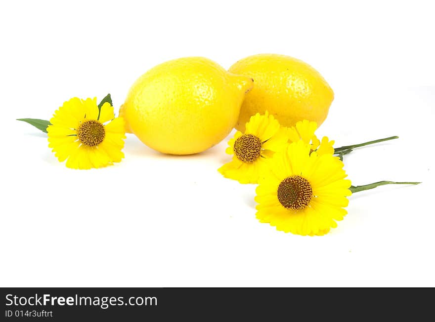 Colorful fresh group of  fruits