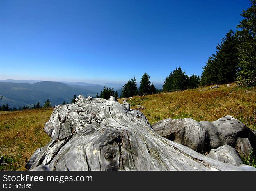 View from Mt. Feldberg, southern Black Forest, Germany. View from Mt. Feldberg, southern Black Forest, Germany