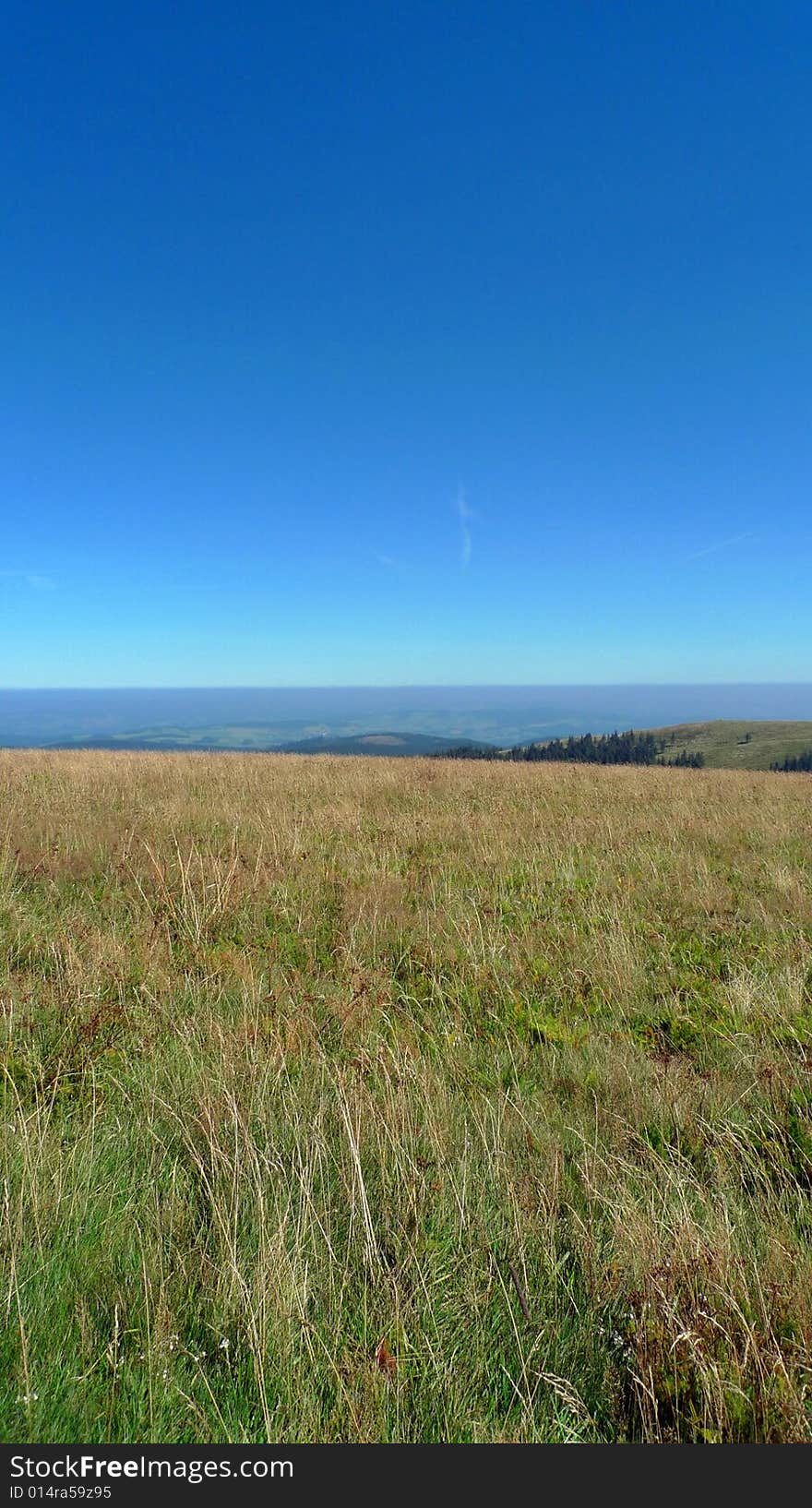 A typical rural field scene of south western Germany. A typical rural field scene of south western Germany