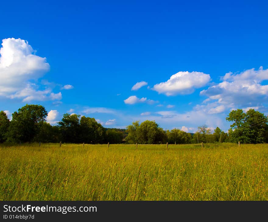 Field And Sky