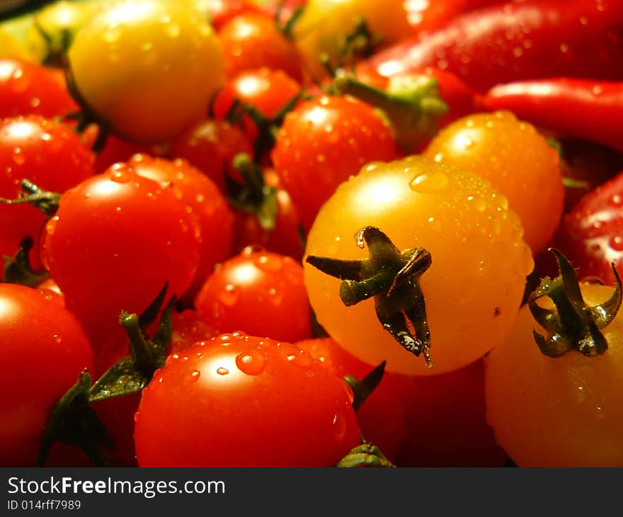 Crispy red,yellow and orange tomatoes with water drops. Crispy red,yellow and orange tomatoes with water drops