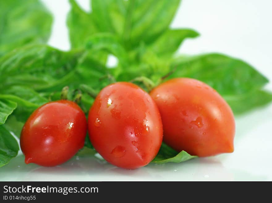 Basil and Tomatoes in white isolation. Basil and Tomatoes in white isolation