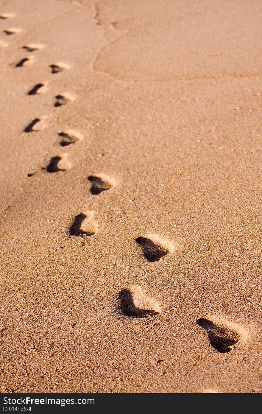 Foot prints on the beach