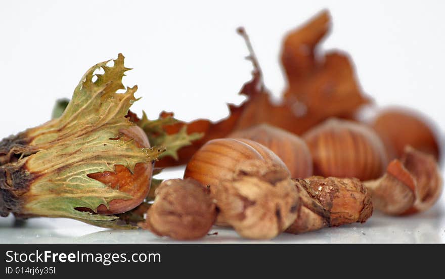 Hazelnuts - Closeup