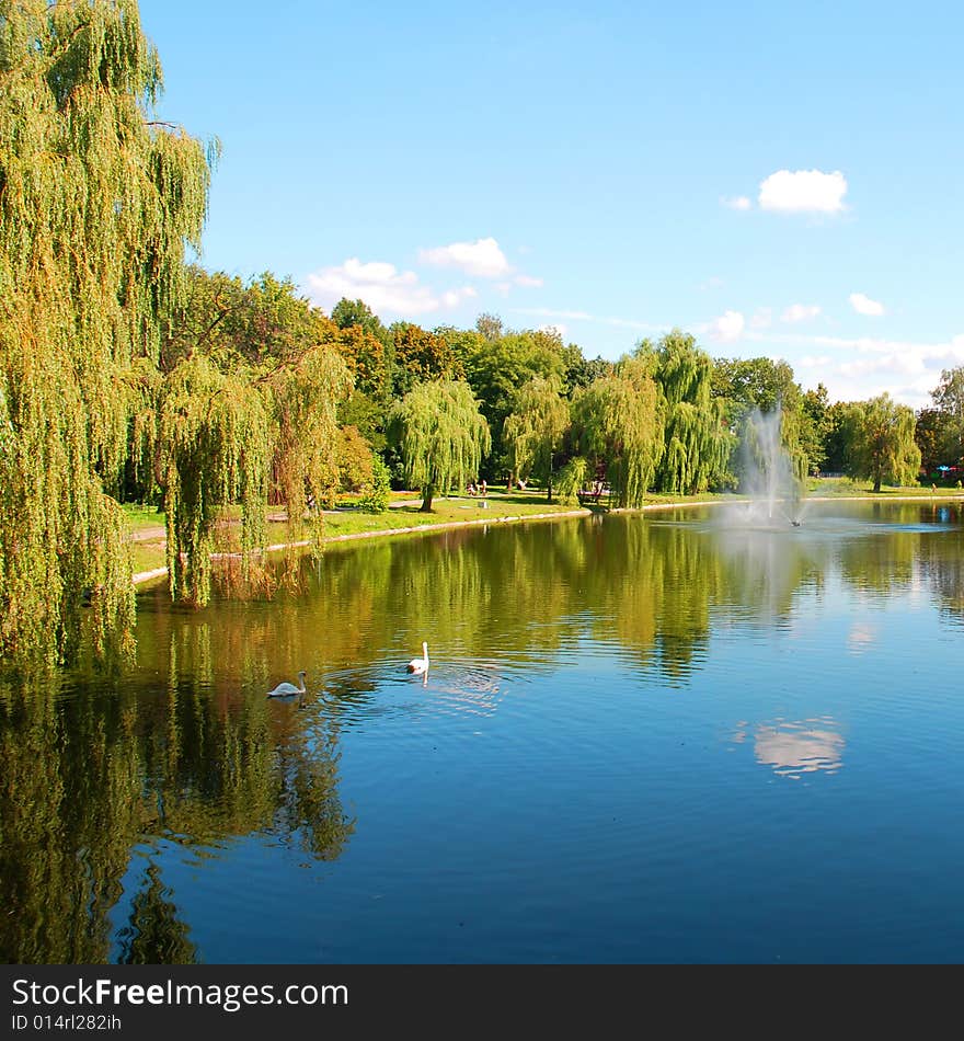 Picturesque autumn landscape