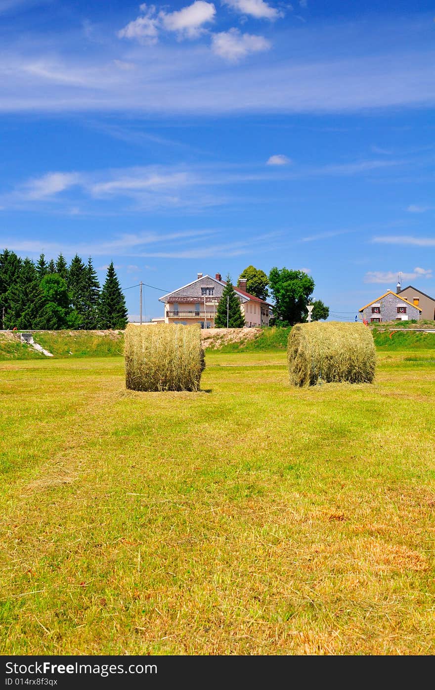 Bales of Hay