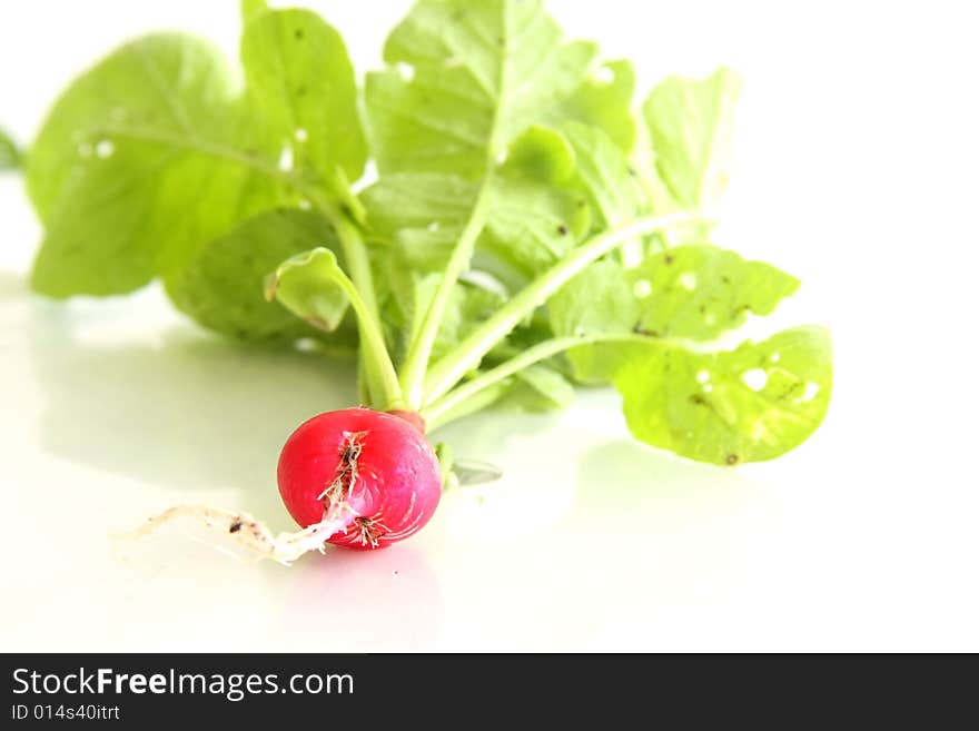 Cherry Belle Radish