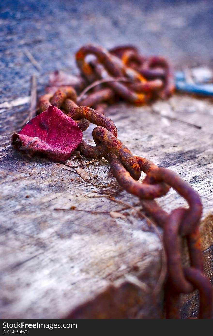 A rusty chain rests on a stack of wooden planks in the fall. A rusty chain rests on a stack of wooden planks in the fall.