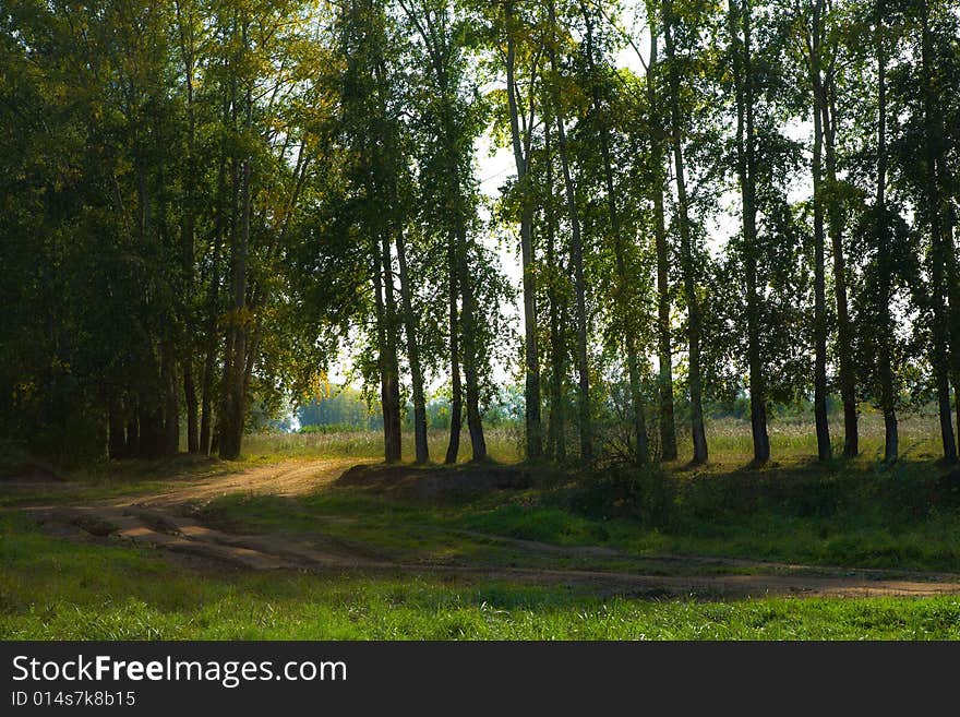 Autumn landscape with trees and road