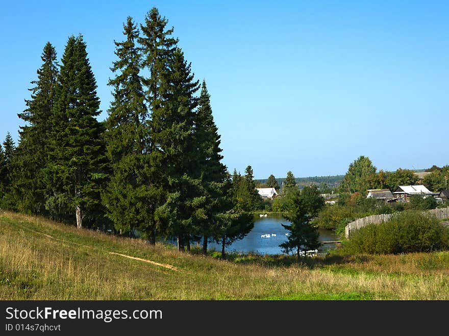 Rural picture with a pond and wood