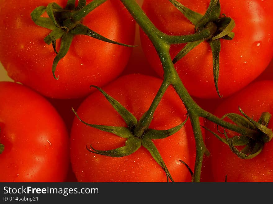 Red plump Tomatoes in studio light. Red plump Tomatoes in studio light