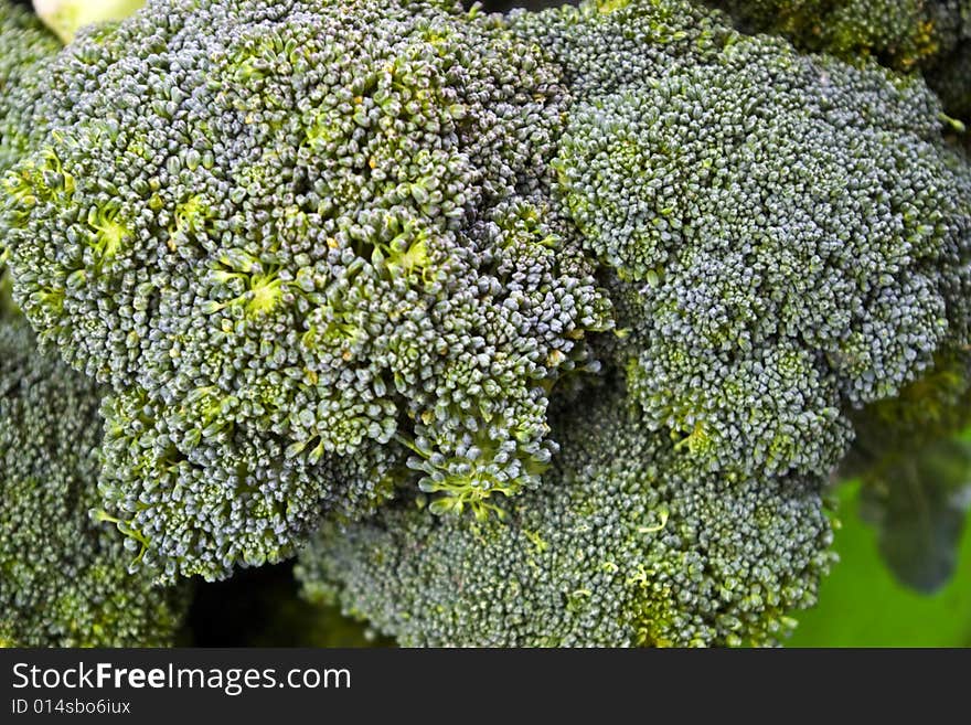 Heads of Broccoli at a local farmers' market. Heads of Broccoli at a local farmers' market