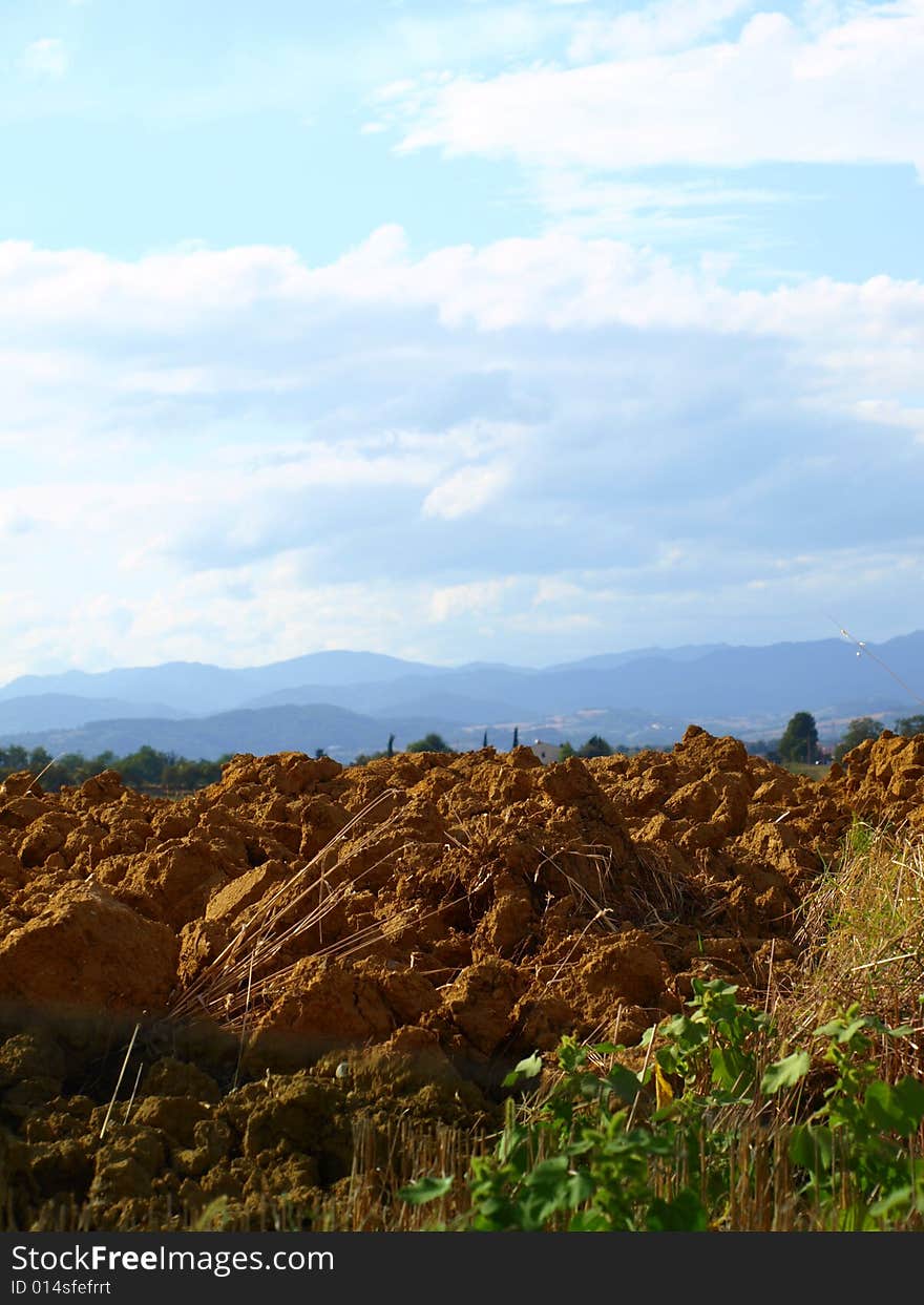 Clods in countryside