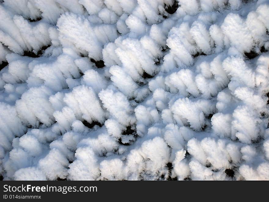 Winter Background Of Snow Scales, Close-up