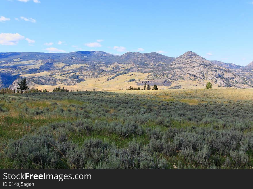 The scenery in Yellowstone National Park in Wyoming