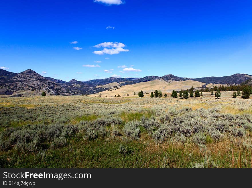 The scenery in Yellowstone National Park