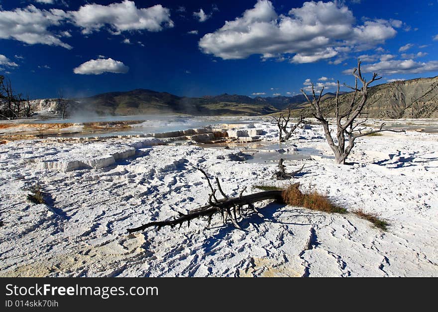 The Mammoth Hot Spring area in Yellowstone