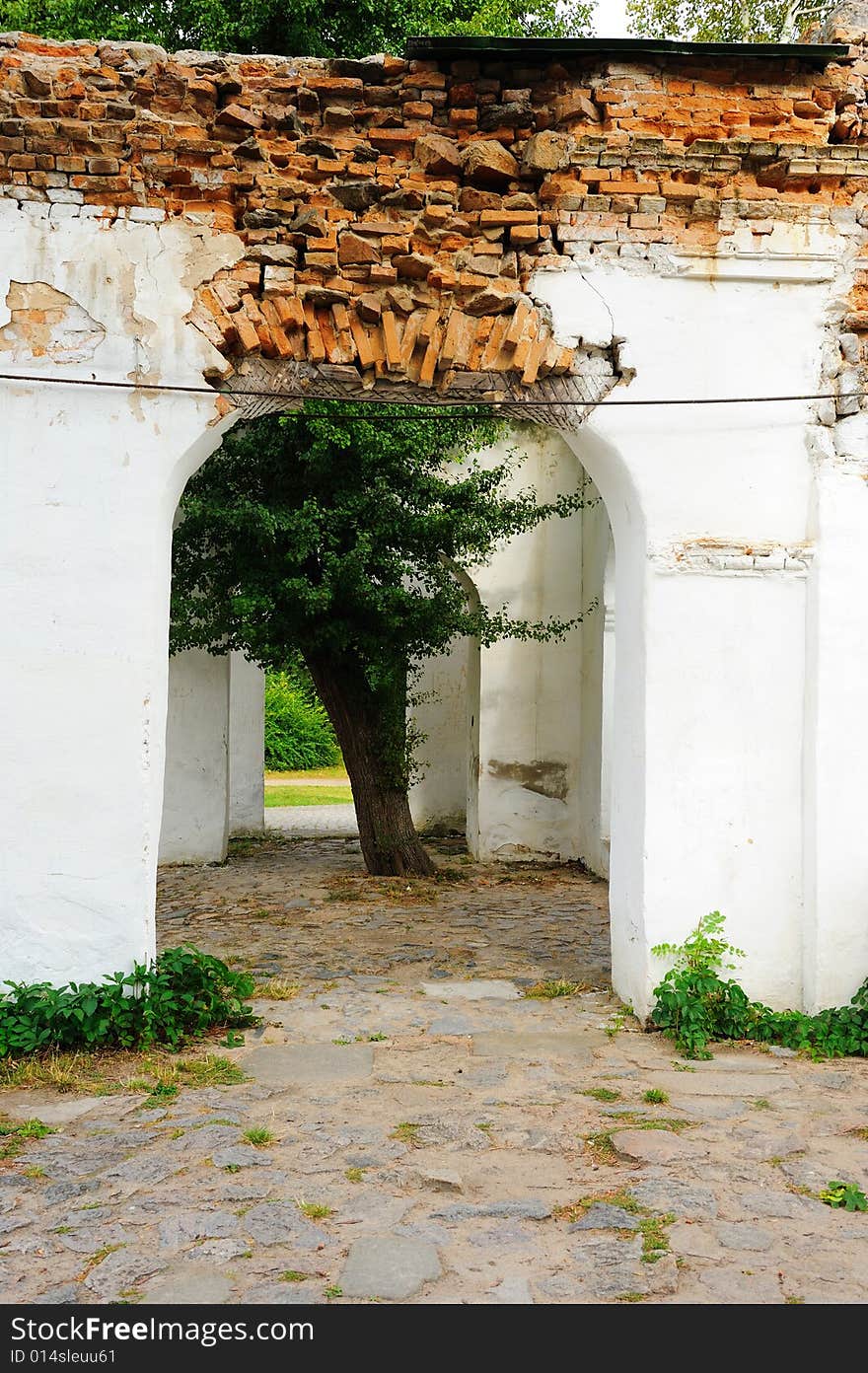 Tree growing between two arches