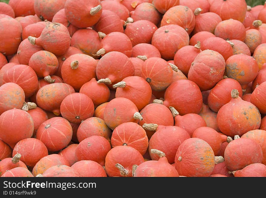 Lots of pumpkins piled up