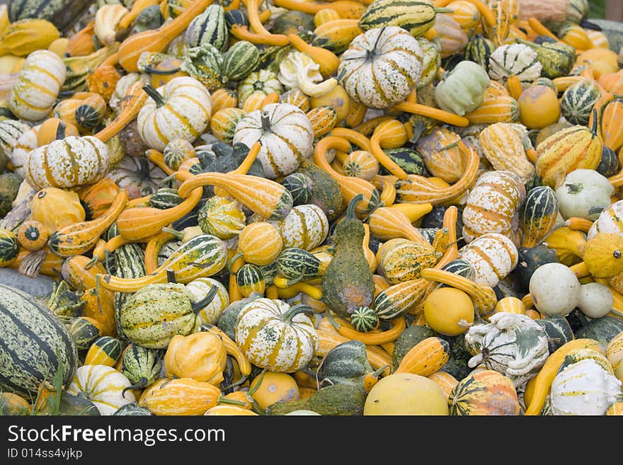 Lots of pumpkins piled up