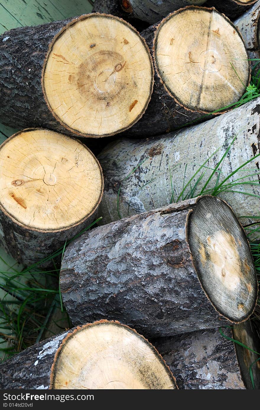 The birch logs cut on the stock. The birch logs cut on the stock